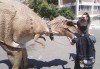 Разходка в замъка в Равадиново и фантастично динозавърско шоу за дете от 7 до 16 години и възрастен! - thumb1 2
