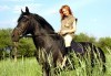 Бъдете сред природата! 45 минути разходка с кон от конна база София – Юг, Драгалевци! - thumb 2