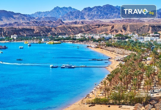 Почивка през септември и октомври в Шарм Ел Шейх, Египет, с Караджъ Турс! 7 нощувки на база All inclusive в Sharm Cliff Resort 4*, самолетен билет и багаж, трансфери - Снимка 7