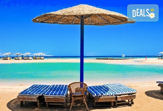 Почивка през септември и октомври в Шарм Ел Шейх, Египет, с Караджъ Турс! 7 нощувки на база All inclusive в Sharm Cliff Resort 4*, самолетен билет и багаж, трансфери - Снимка 8