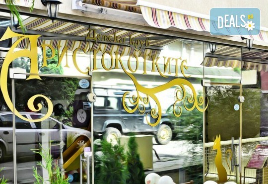 2 часа детски рожден ден с аниматор, меню за 10 деца, сладки и солени плата за родителите, голяма зала за игра, атракциони, стена за катерене, парти музика и зала за родителите в Детски клуб Аристокотките! - Снимка 25