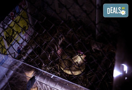 Разгадайте мистерията! Отборна ескейп игра Пощенска станция от Emergency Escape! - Снимка 2