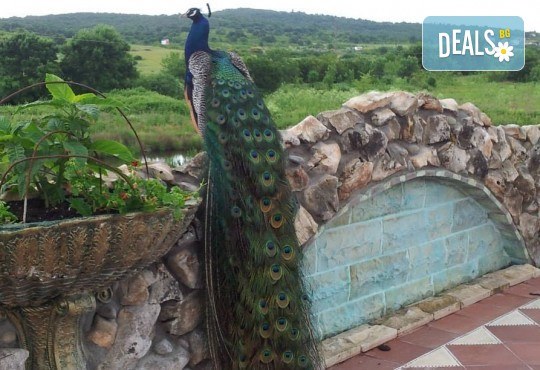 Вход за замъка в Равадиново край Созопол и посещение на арт галерия - Снимка 5