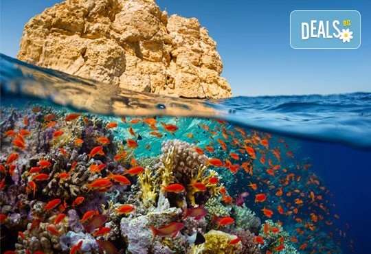 Почивка в Imperial Shams Abu Soma 5*, Хургада, Египет! 7 нощувки на база All Inclusive, самолетен билет с летищни такси, трансфери - Снимка 9