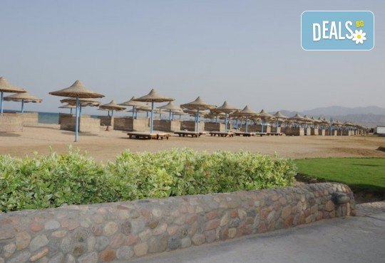 Почивка в Imperial Shams Abu Soma 5*, Хургада, Египет! 7 нощувки на база All Inclusive, самолетен билет с летищни такси, трансфери - Снимка 7