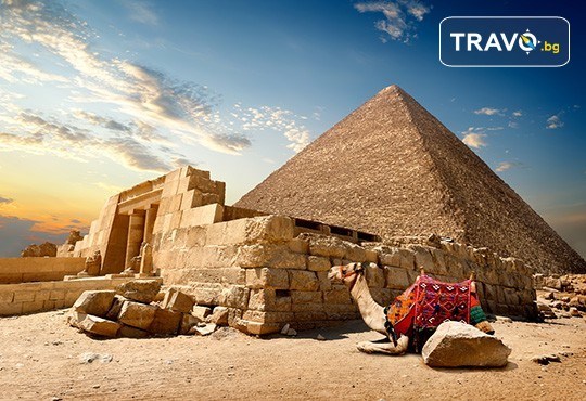 Почивка в Египет през есента с Караджъ Турс! 7 нощувки на база All inclusive в хотел 4*, Хургада, самолетен билет за директен чартърен полет и трансфери - Снимка 4