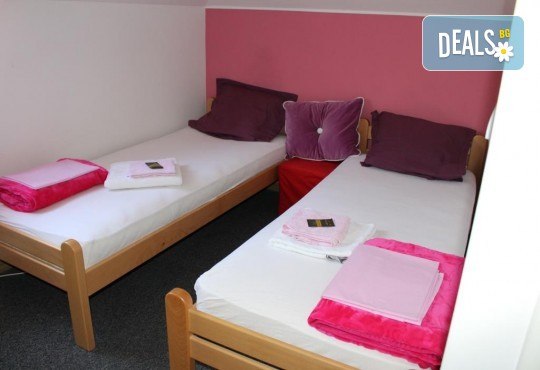 Нова Година 2020 в Деспотовац, Сърбия! 3 нощувки с 3 закуски, 2 стандартни и 1 Новогодишна вечеря, възможност за транспорт - Снимка 4