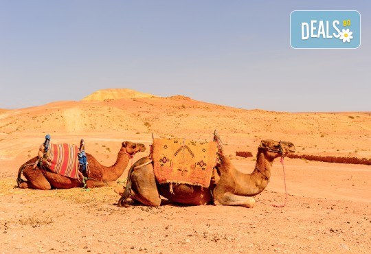 Екзотика през 2020г. в Дубай! 4 нощувки със закуски и вечери, самолетен билет, трансфери, посещение на Абу Даби и сафари в пустинята - Снимка 10