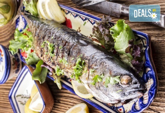 Вкусно и изгодно! 2 порции паламуд филе на скара с гарнитура картофена салата в Ресторант 21 - Лозенец! - Снимка 3