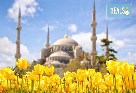 Екскурзия до Истанбул за Фестивала на лалето с 2 нощувки и закуски, транспорт и трансфер до Емирган парк! - Снимка 1