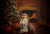 Семейна, детска или индивидуална коледна фотосесия в студиo с разнообразни декори и 10 обработени кадъра от Студио Dreams House! - thumb1 6