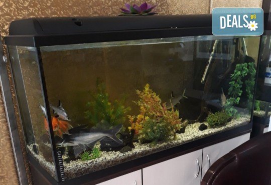 Красиви и дълготрайни цветове! Педикюр с гел лак Kodi Professional в център за красота Енигма! - Снимка 4