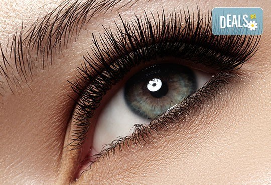 Красив поглед! Поставяне на 3D мигли по метода косъм по косъм, луксозен клас от Студио за красота BEAUTY STAR до Mall of Sofia - Снимка 1