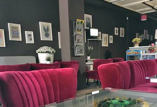 Сладкарници Фон Фон