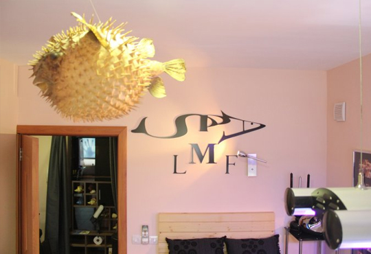 LMF SPA FISH STUDIO