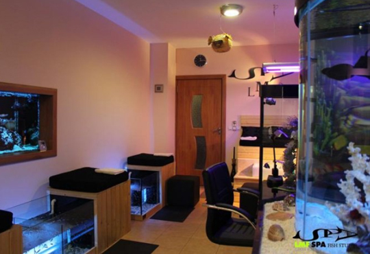 LMF SPA FISH STUDIO