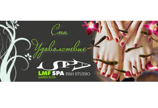 LMF SPA FISH STUDIO